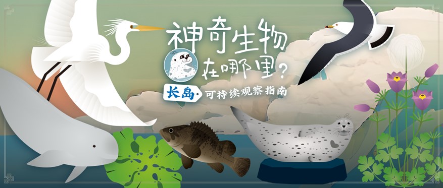 卡通人物描述已自动生成