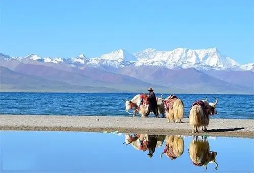 西藏旅游部门：与多部门合力保障游客出藏