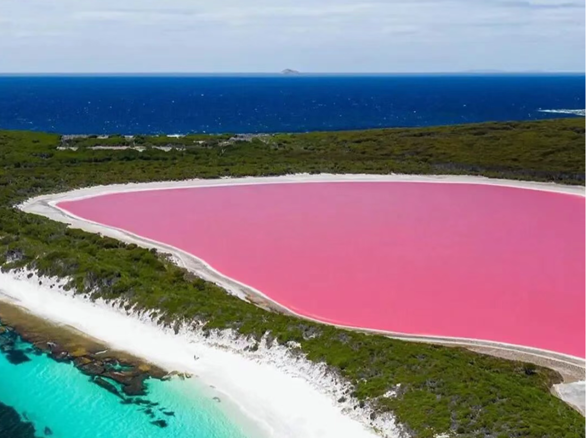 现场 | 精品目的地如何打出差异化：西澳大利亚州目的地营销的三重解法