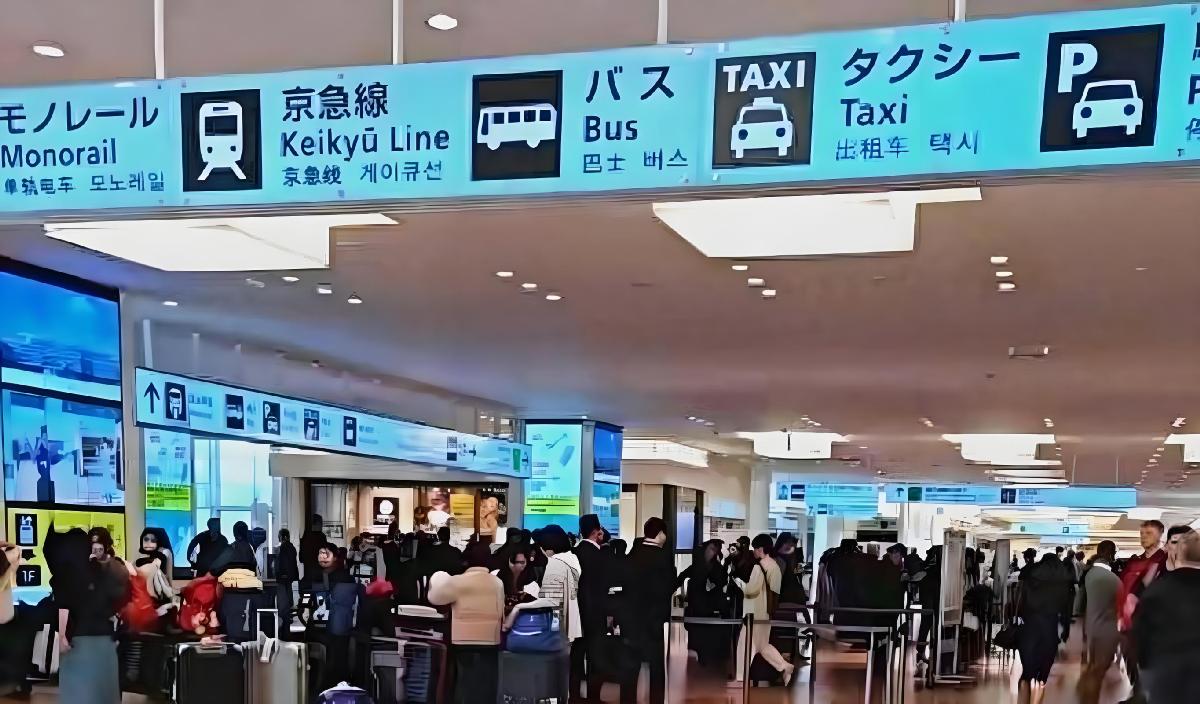 日本旅游局：3月中国赴日游客大降55.9%，航班取消率达49.6% 