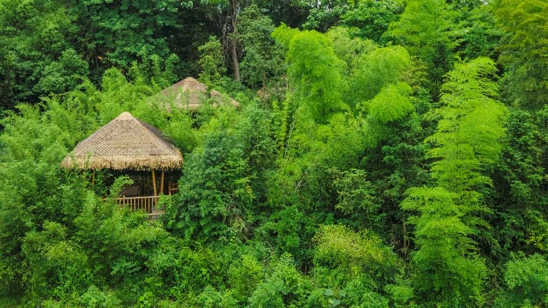 A house in the middle of a forestDescription automatically generated with medium confidence