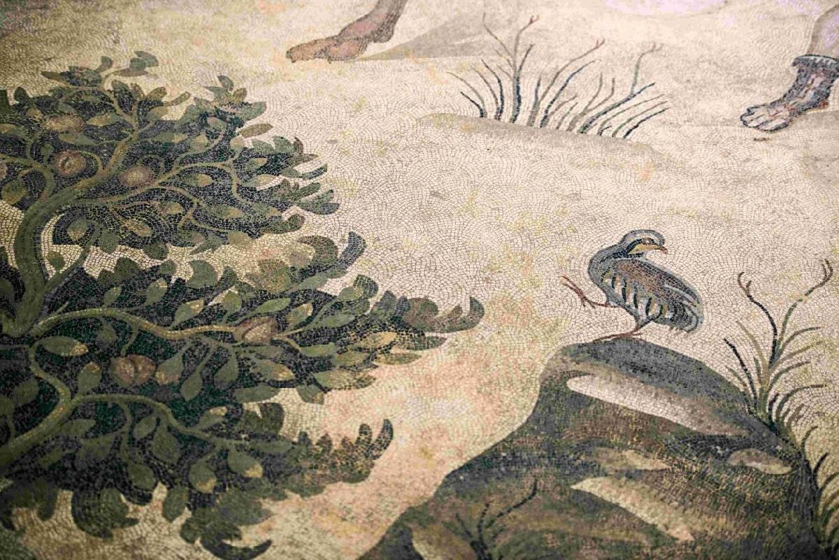 Şanlıurfa_Haleplibahçe_Mozaic_Museum_7360x4912px__300 dpi