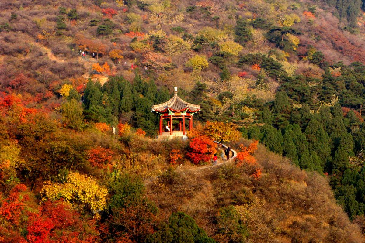 北京香山推出3条“银发漫步路线”